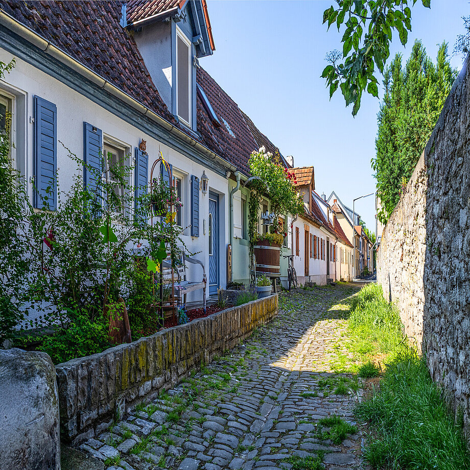 Hafenviertel